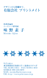 デザイン名刺（冬・雪のイメージ１）DT-FS-401