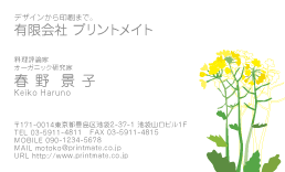 デザイン名刺（春・菜の花）DY-FS-105