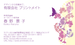 デザイン名刺（春・花に蝶）DY-FS-107