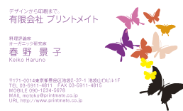 デザイン名刺（春・蝶々）DY-FS-108
