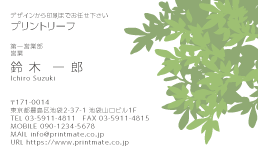 デザイン名刺（木の葉・シンプル）DY-LW-107