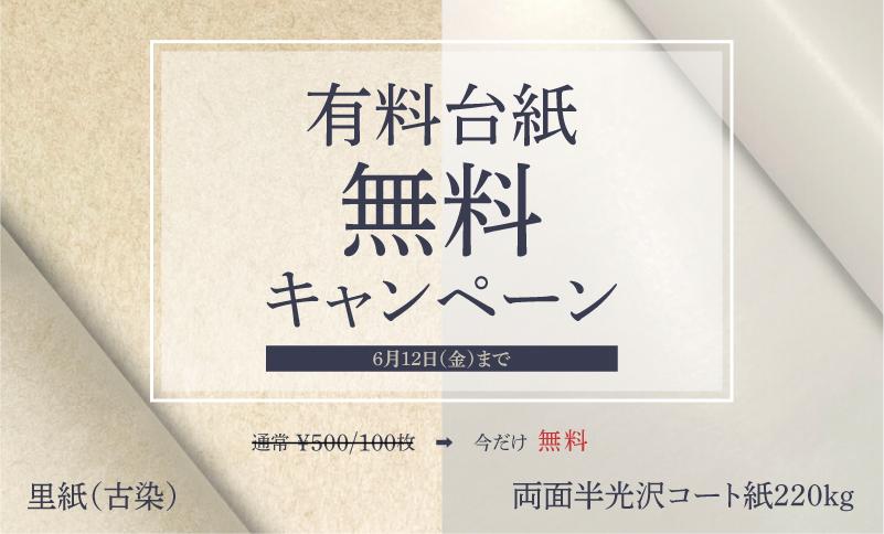 ���h20���v���[���g�L�����y�[��